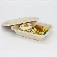 Biodegradable bagasse food container take away fast food container 500 ml with lid